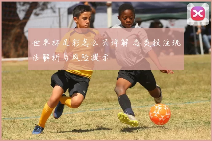 世界杯足彩怎么买详解 各类投注玩法解析与风险提示