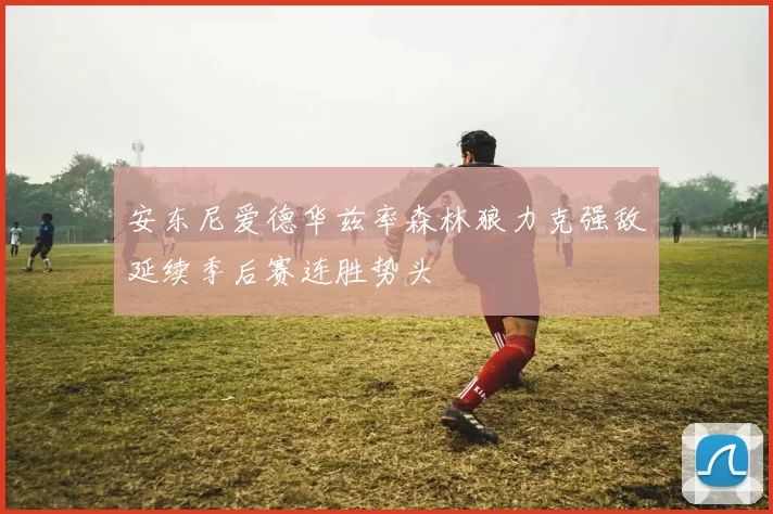 安东尼爱德华兹率森林狼力克强敌延续季后赛连胜势头